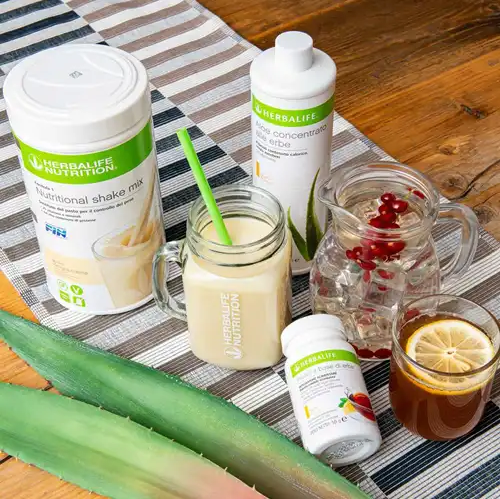 Herbalife Formula 1 Meal Shake - Balanced Meal Replacement - Scubamarket